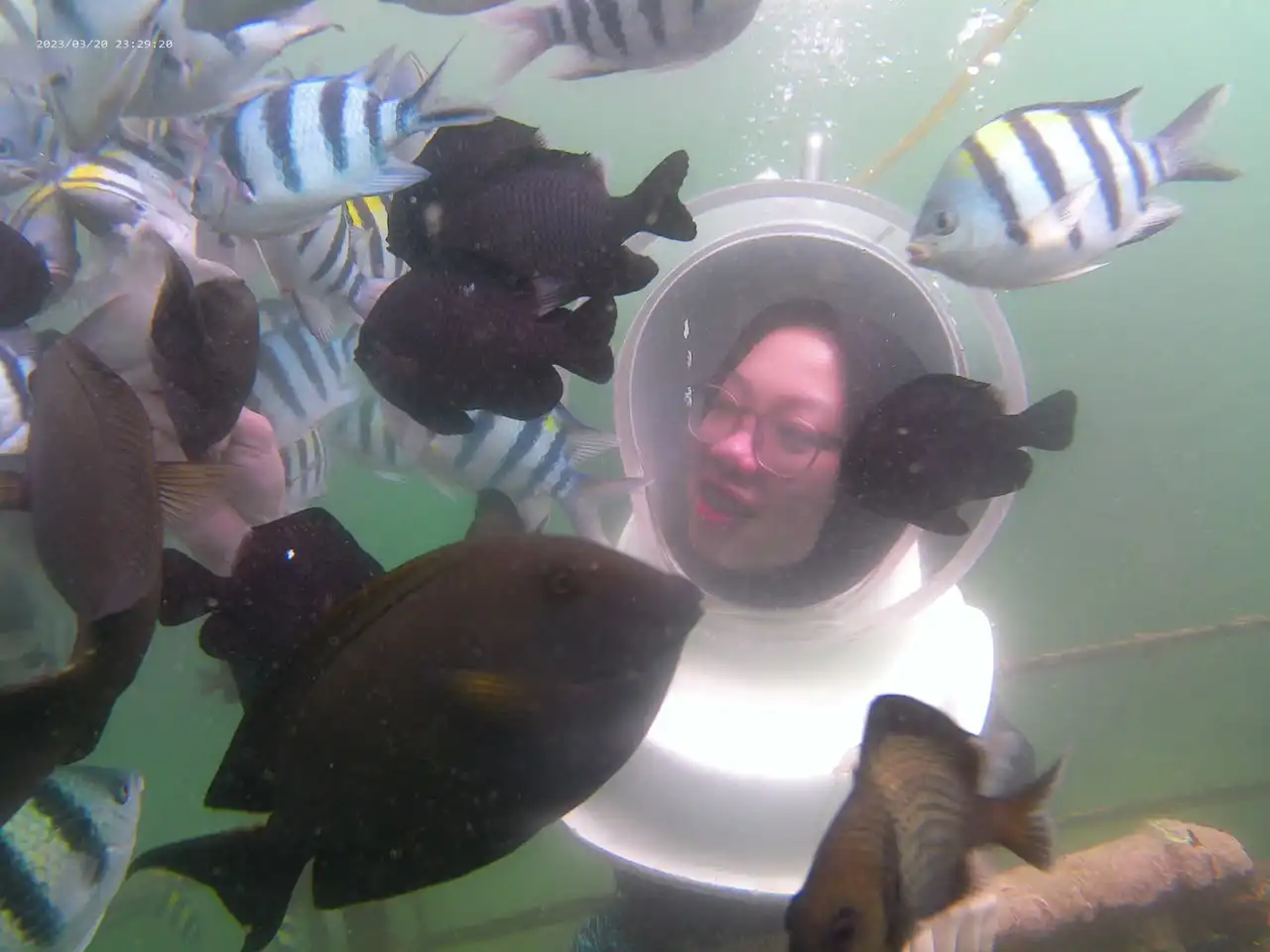 Private Nusa Dua Watersports Experience with Sea Walker