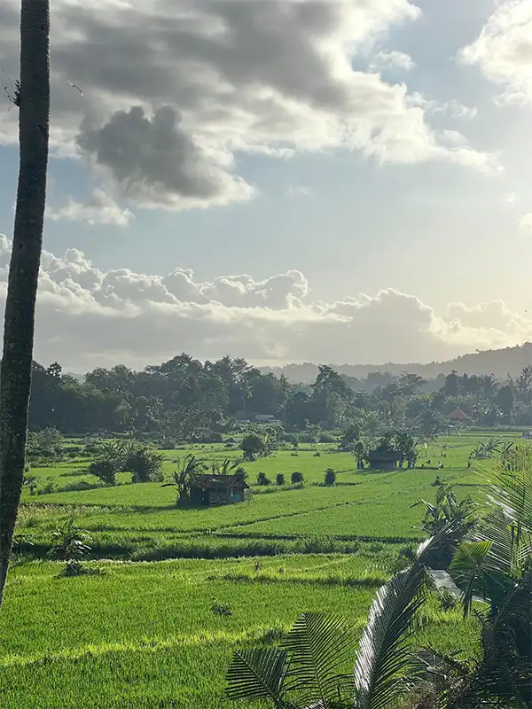 Sidemen Valley ricefields, panoramic rice terraces Bali, serene East Bali nature, hidden gems Bali, traditional Balinese countryside, Sidemen Karangasem village, peaceful ricefield views, Bali off the beaten path destination, rural Bali photography tour, East Bali scenic landscapes