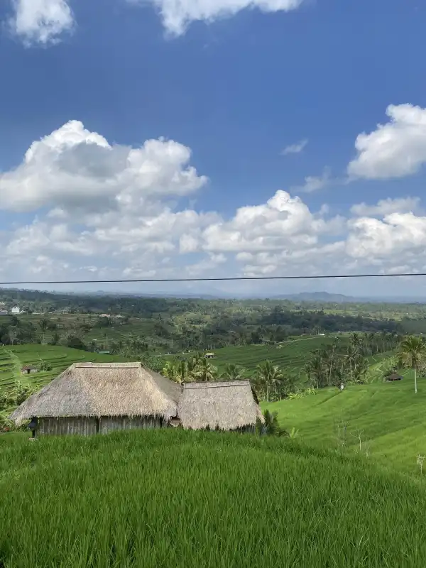 Jatiluwih Rice Terraces Bali - UNESCO World Heritage Site, stunning panoramic rice fields in Tabanan, traditional Subak irrigation system, best rice terrace trekking in Bali, scenic nature tour in Bali countryside, cultural landscape of Bali, private Bali tour to Jatiluwih, things to do in Bali, eco-tourism destination Bali, Bali nature and culture experience