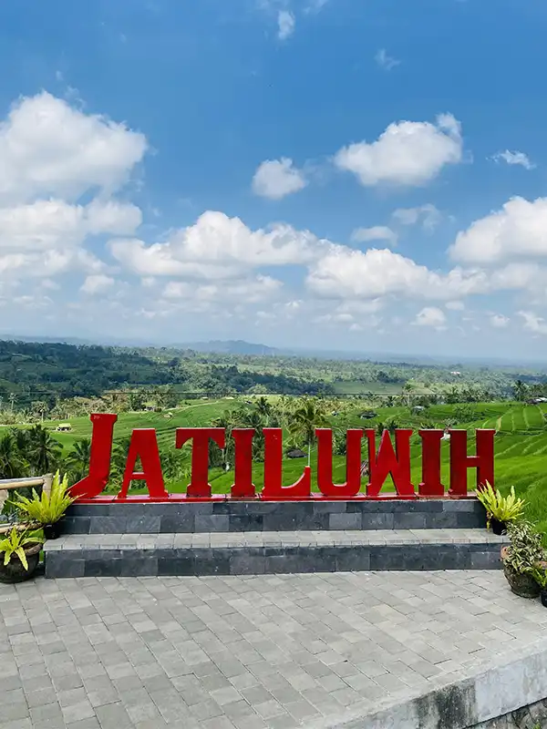 Tegenungan Waterfall in Ubud, Bali - scenic waterfall with lush jungle surroundings, best waterfalls in Bali, hidden nature spot in Gianyar, swim and relax at Tegenungan, Bali day trip destination with Bali Wonders Tour