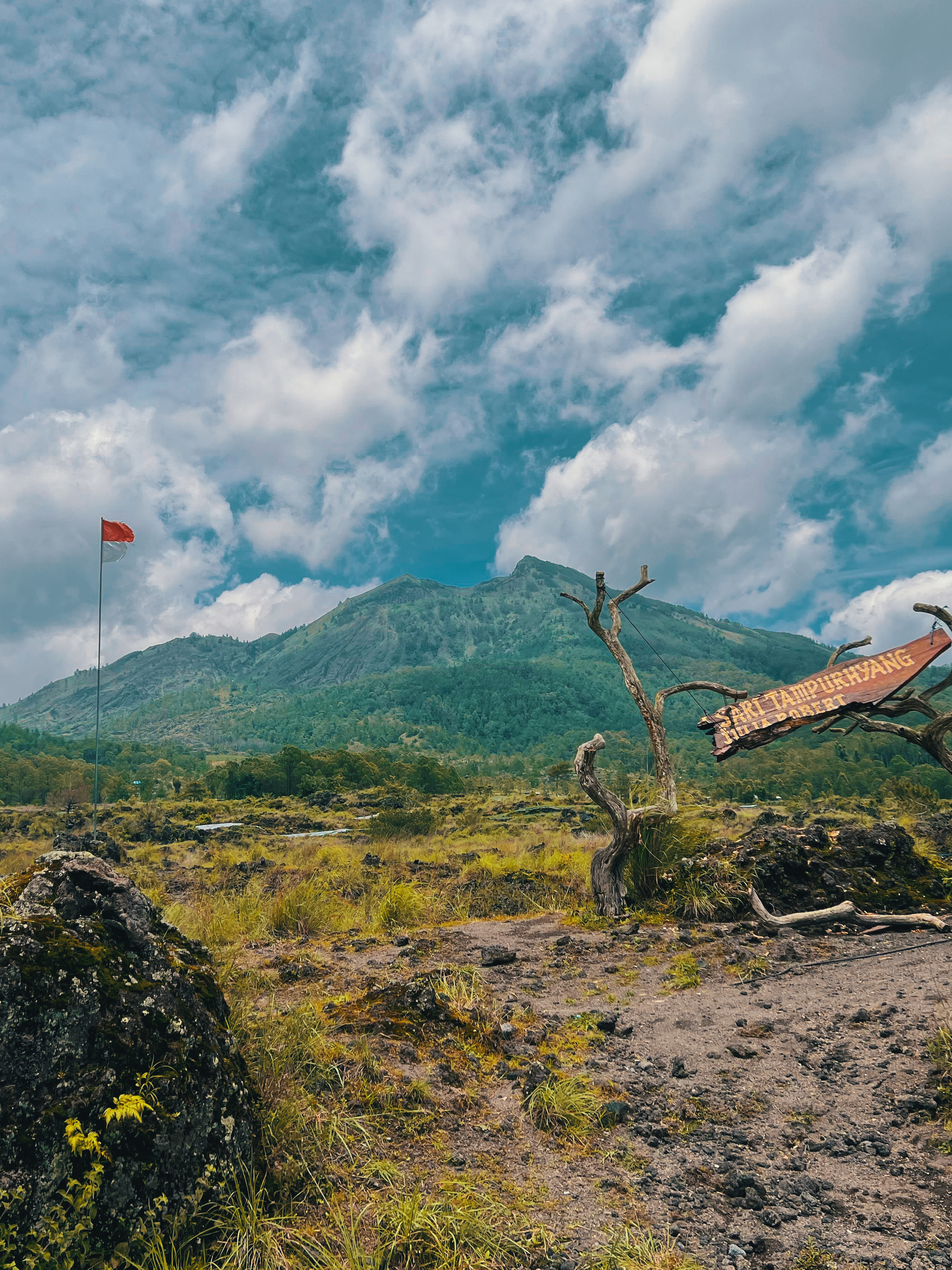 kintamani mount batur volcano, batur hotspring, tirta empul temple Fullday Tour baliwonderstour