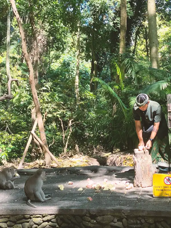 Sacred Monkey Forest Sanctuary Ubud Bali - spiritual nature reserve with Balinese long-tailed monkeys, ancient jungle temples, top cultural attraction in Ubud, Bali wildlife and temple experience by Bali Wonders Tour 