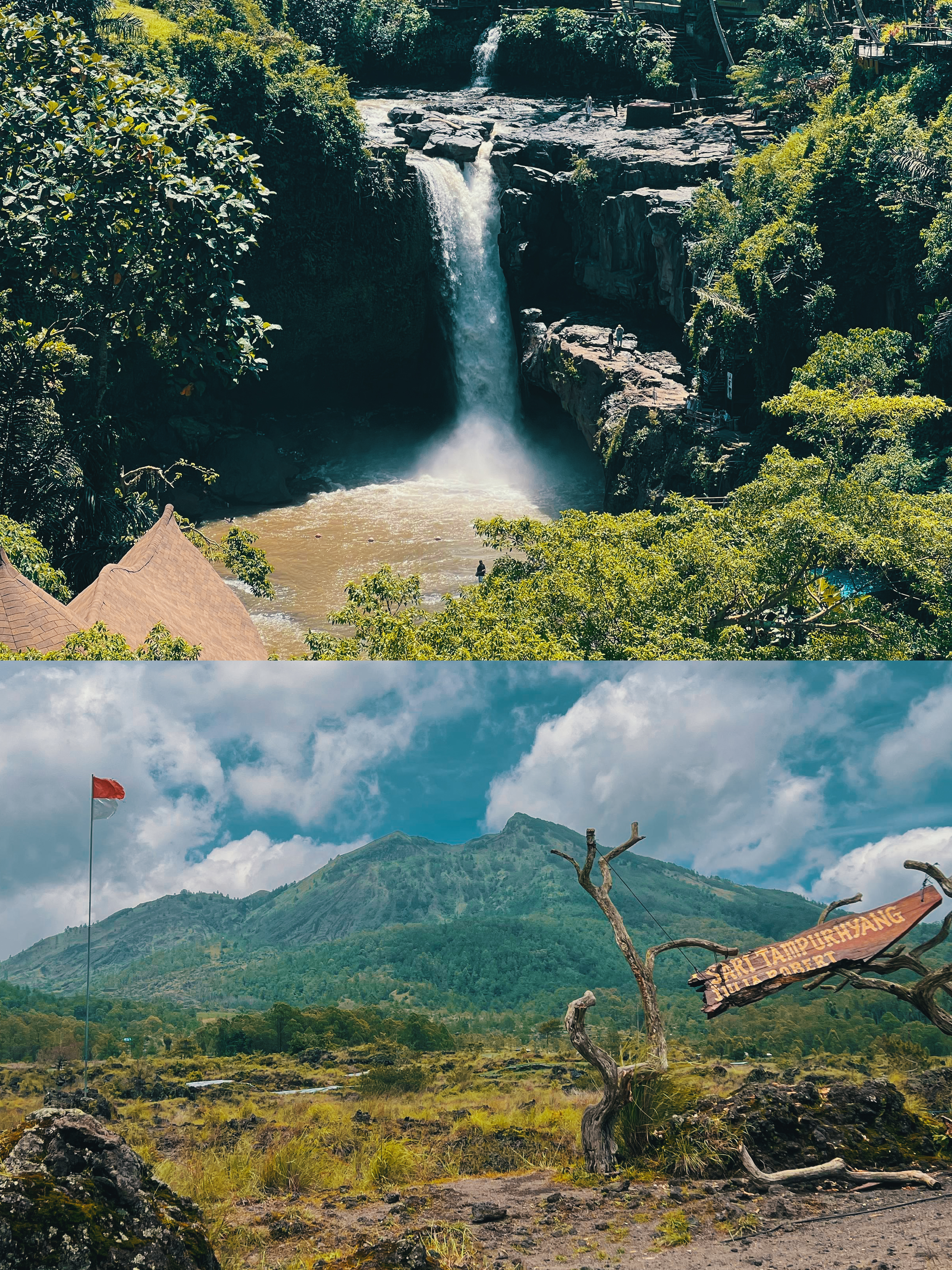 Ubud & Kintamani : Waterfall, Rice Terrace, Mount Batur Fullday Tour baliwonderstour