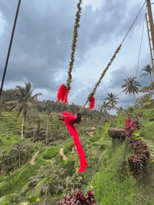 Tegallalang Rice Terraces in Ubud Bali are world-famous for their stunning layered landscapes and traditional Subak irrigation system. This iconic rice field destination offers scenic walking paths, panoramic viewpoints, and the popular Tegallalang swing experience for thrilling photos. Explore the natural beauty and cultural richness of rice terraces in Bali with BaliWondersTour as part of your unforgettable Ubud day tour.